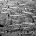 barracuda_blackfin_er_h_0705_png1113.jpg